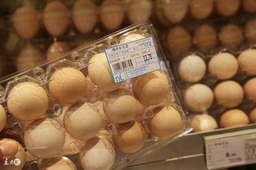 2017年11月20日全国各地鸡蛋价格行情汇总