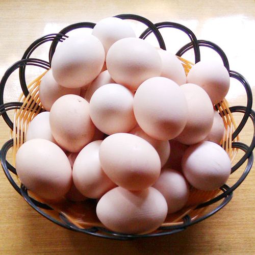 农副产品批发土鸡蛋正宗家养禽蛋农家鸡蛋专业养殖绿色食品