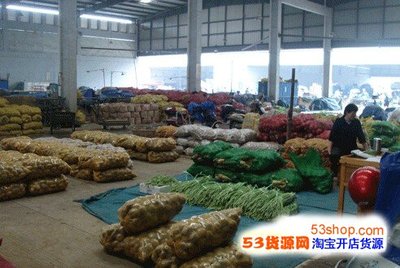 浙江余姚市农副产品批发市场地址 怎么走_浙江余姚市农副产品批发市场拿货攻略_营业时间几点开门_53货源网